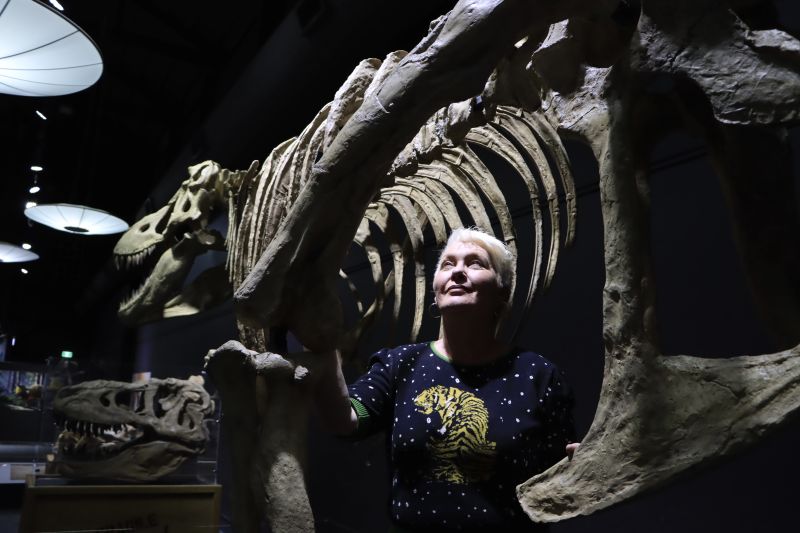 City of Newcastle Director of Museum, Archive, Libraries & Learning, Julie Baird gets up close with one of the prehistoric skeletons.