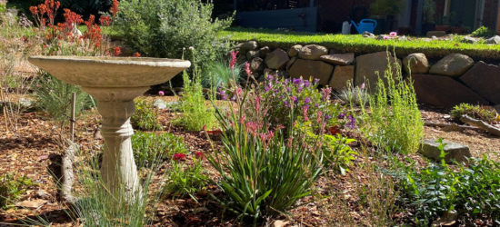 Wallsend Greening Toolkit