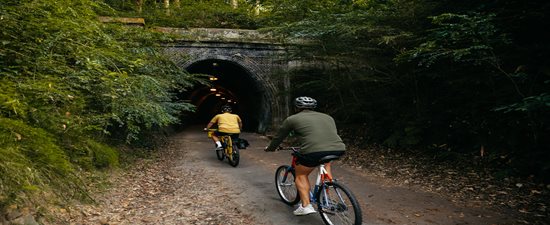 Fernleigh Track, Tunnel Renewal