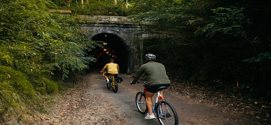 Renewal works on Fernleigh Track Tunnel